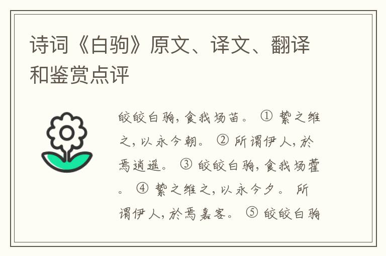  诗词《白驹》原文、译文、翻译和鉴赏点评