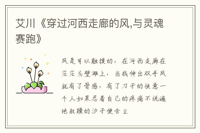  艾川《穿过河西走廊的风,与灵魂赛跑》