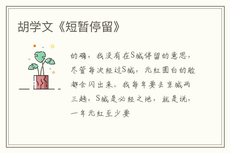  胡学文《短暂停留》