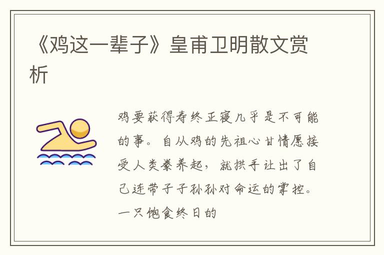  《鸡这一辈子》皇甫卫明散文赏析
