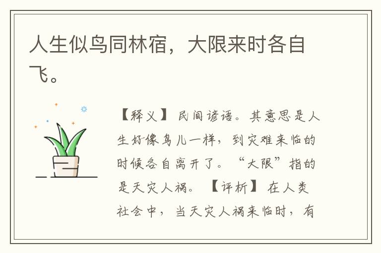  人生似鸟同林宿，大限来时各自飞。
