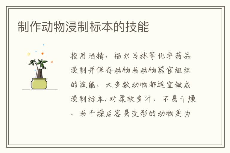  制作动物浸制标本的技能