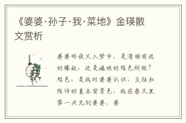  《婆婆·孙子·我·菜地》金瑛散文赏析