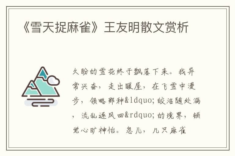 《雪天捉麻雀》王友明散文赏析