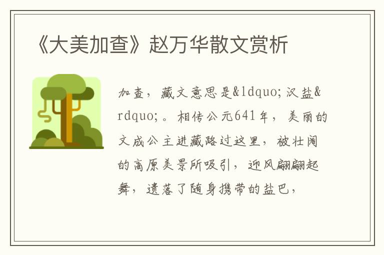  《大美加查》赵万华散文赏析