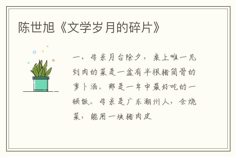  陈世旭《文学岁月的碎片》