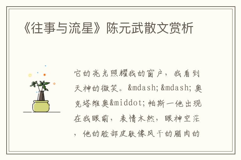  《往事与流星》陈元武散文赏析