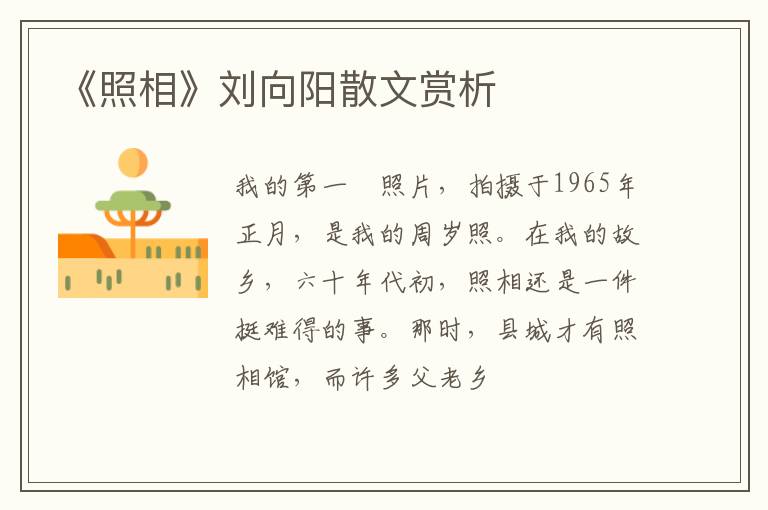  《照相》刘向阳散文赏析
