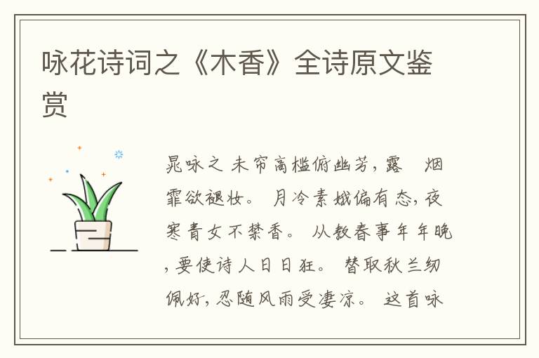 咏花诗词之《木香》全诗原文鉴赏
