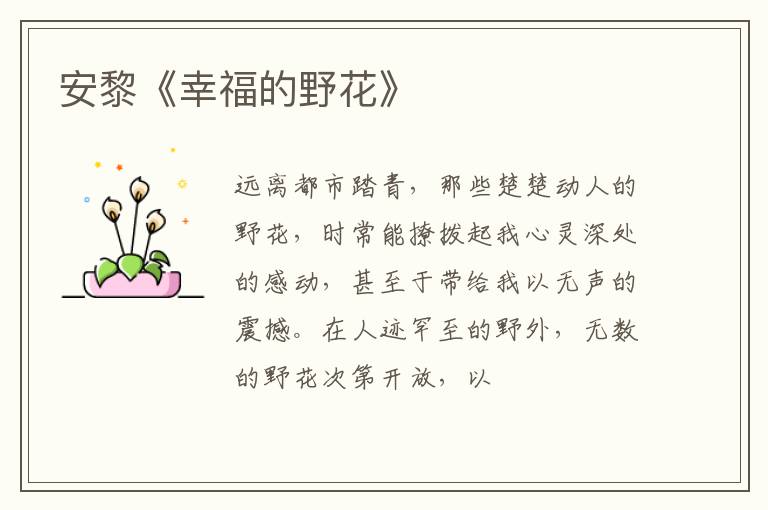  安黎《幸福的野花》