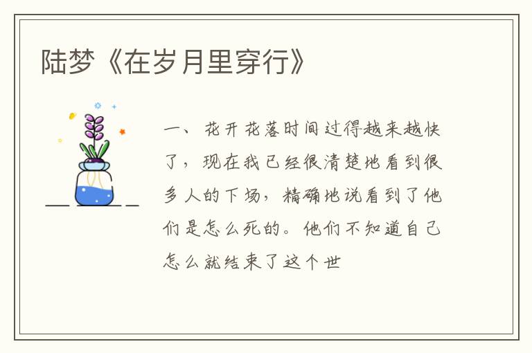  陆梦《在岁月里穿行》