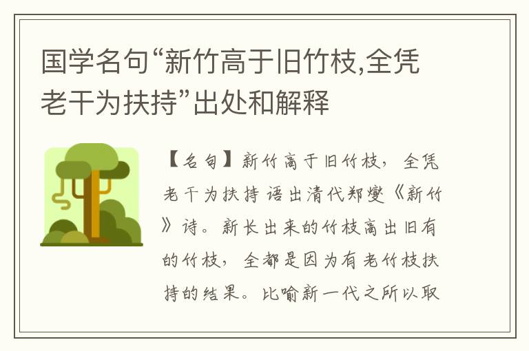  国学名句“新竹高于旧竹枝,全凭老干为扶持”出处和解释