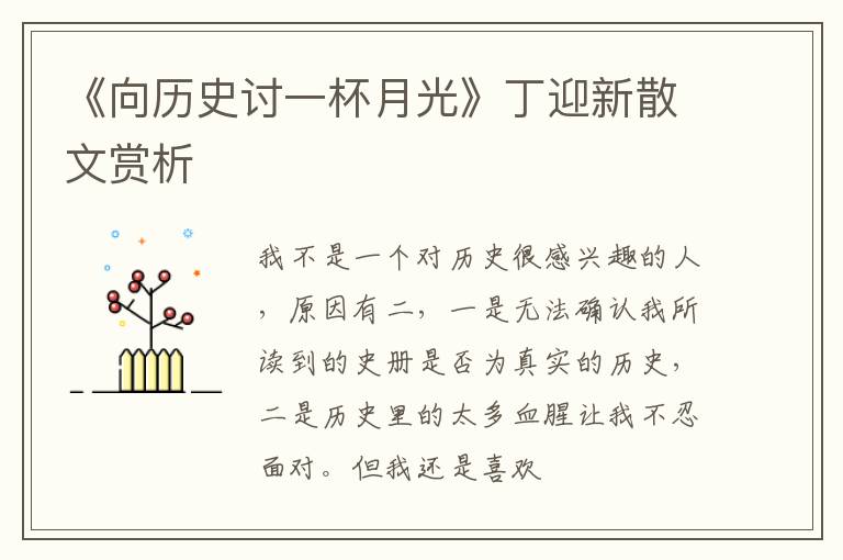 《向历史讨一杯月光》丁迎新散文赏析