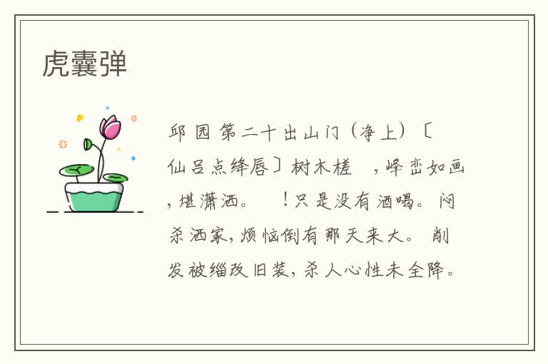  虎囊弹