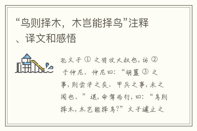  “鸟则择木，木岂能择鸟”注释、译文和感悟