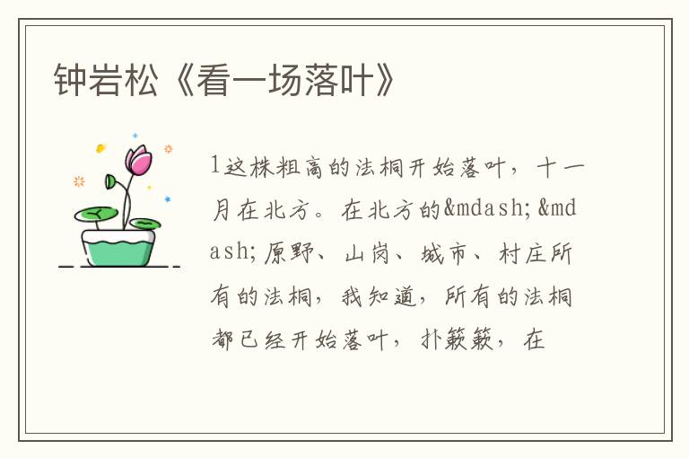  钟岩松《看一场落叶》