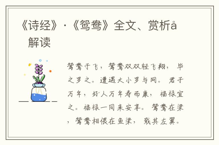  《诗经》·《鸳鸯》全文、赏析和解读