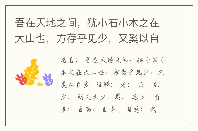  吾在天地之间，犹小石小木之在大山也，方存乎见少，又奚以自多!