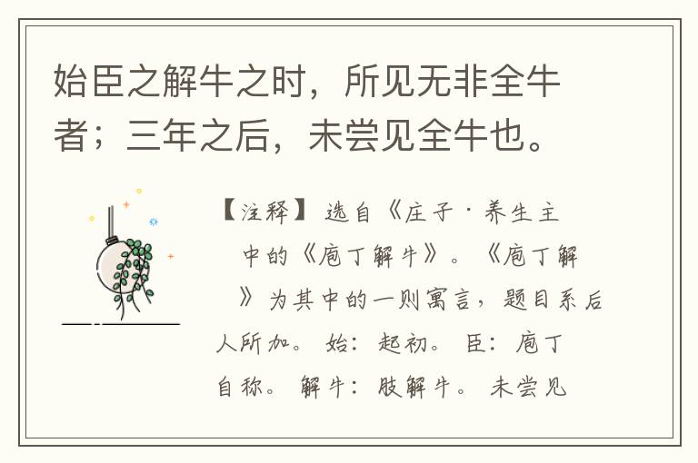  始臣之解牛之时，所见无非全牛者；三年之后，未尝见全牛也。方今