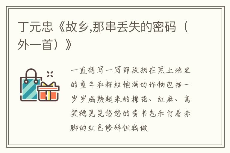  丁元忠《故乡,那串丢失的密码（外一首）》
