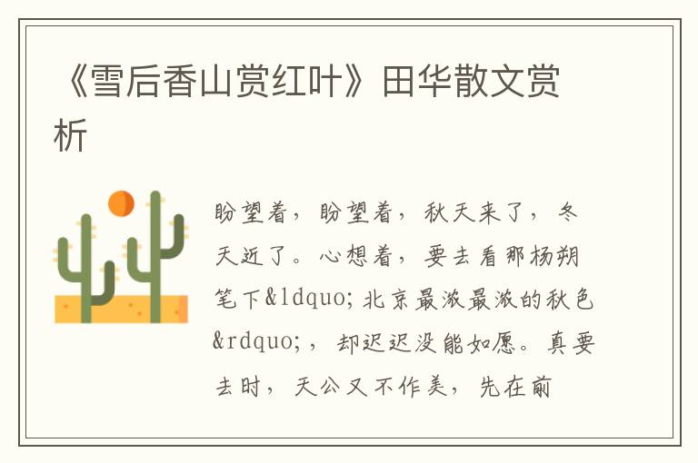  《雪后香山赏红叶》田华散文赏析