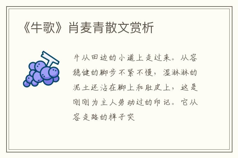  《牛歌》肖麦青散文赏析