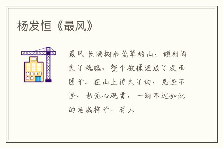  杨发恒《最风》