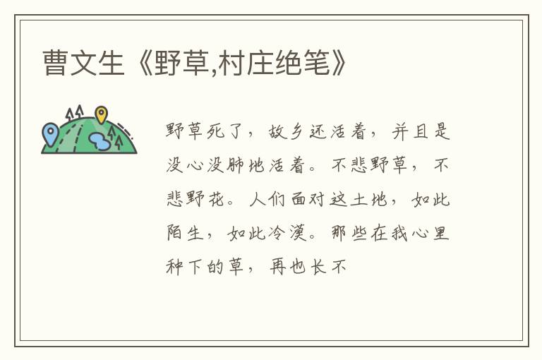  曹文生《野草,村庄绝笔》