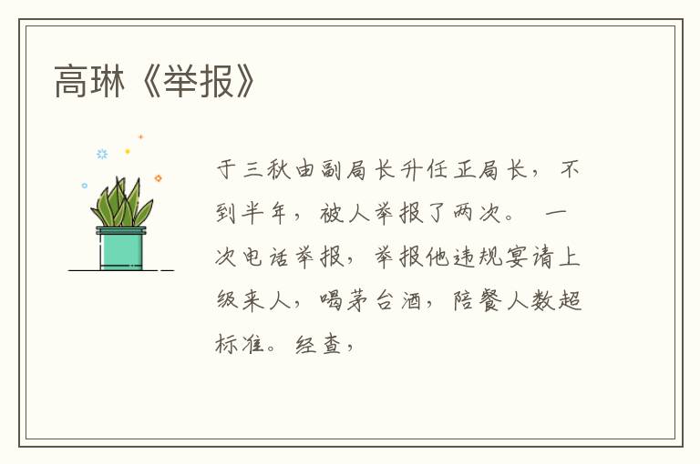  高琳《举报》
