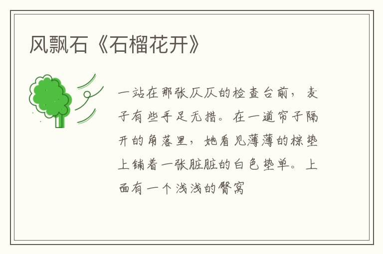  风飘石《石榴花开》