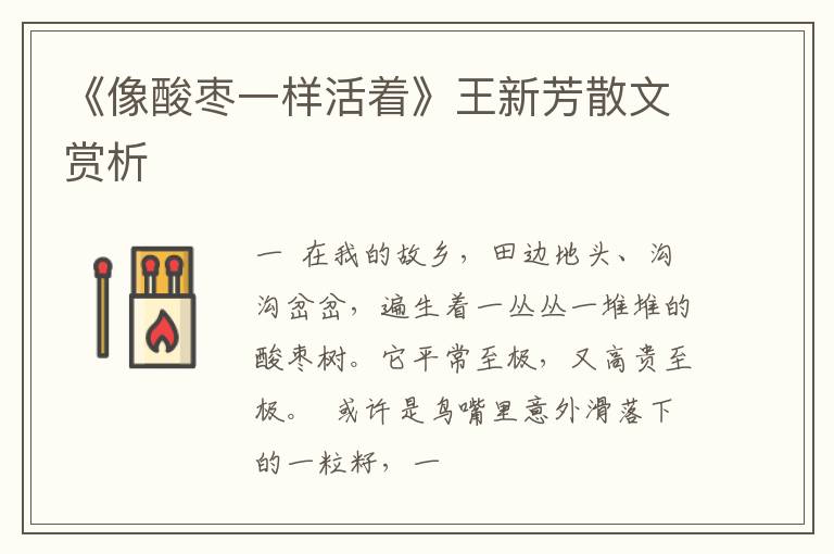  《像酸枣一样活着》王新芳散文赏析