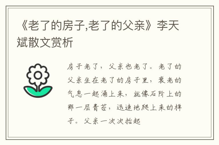  《老了的房子,老了的父亲》李天斌散文赏析