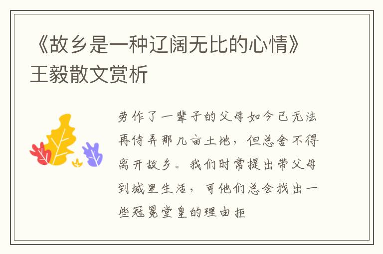  《故乡是一种辽阔无比的心情》王毅散文赏析