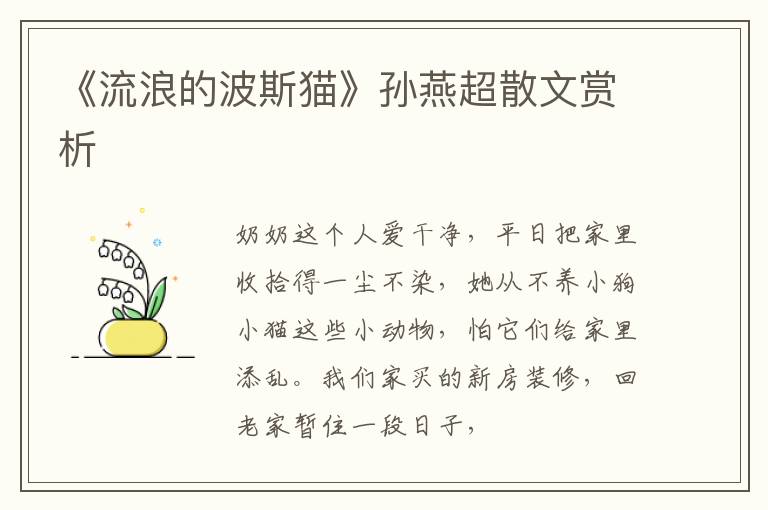  《流浪的波斯猫》孙燕超散文赏析