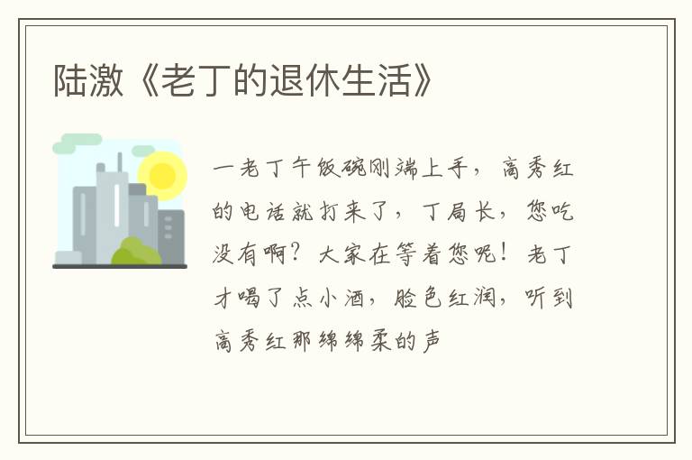  陆激《老丁的退休生活》