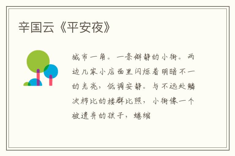  辛国云《平安夜》