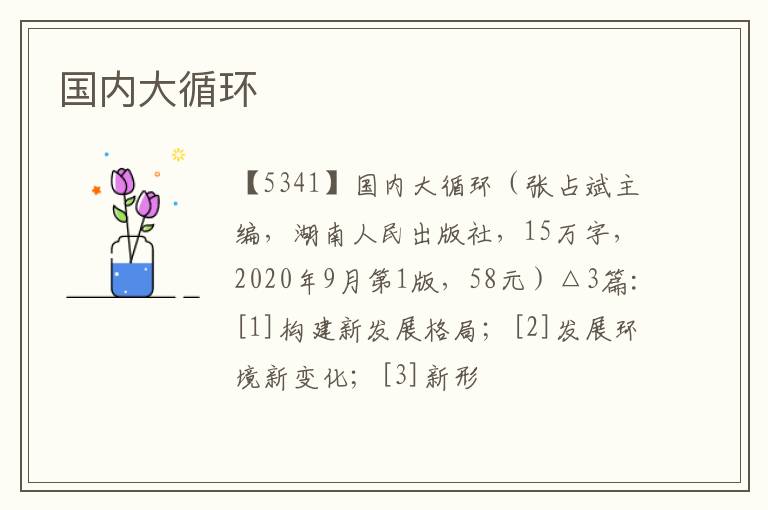  国内大循环