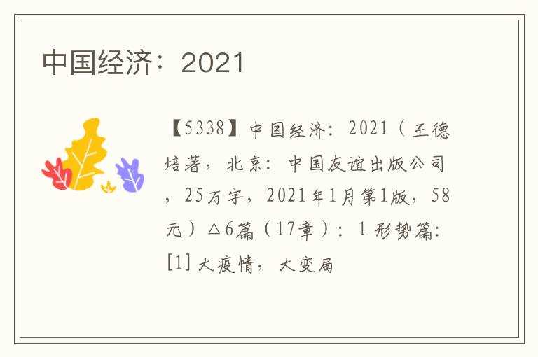  中国经济：2021