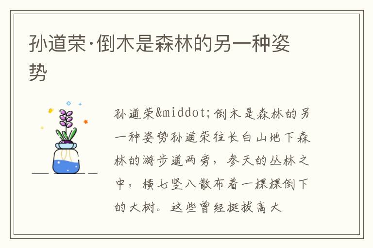  孙道荣·倒木是森林的另一种姿势
