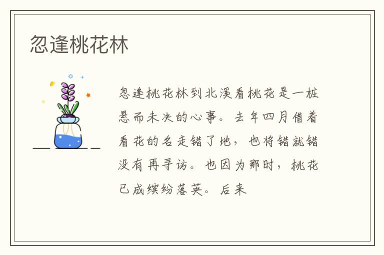  忽逢桃花林