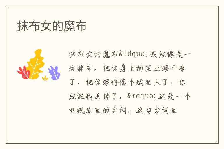  抹布女的魔布