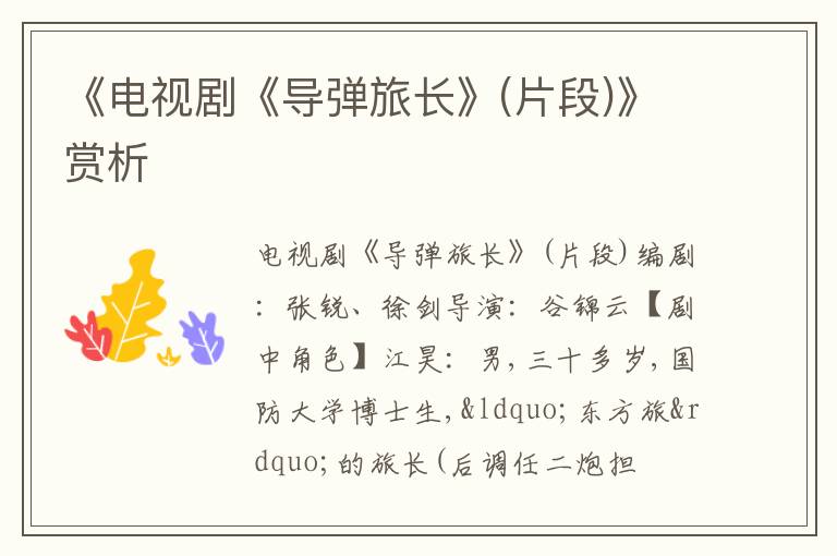  《电视剧《导弹旅长》(片段)》赏析