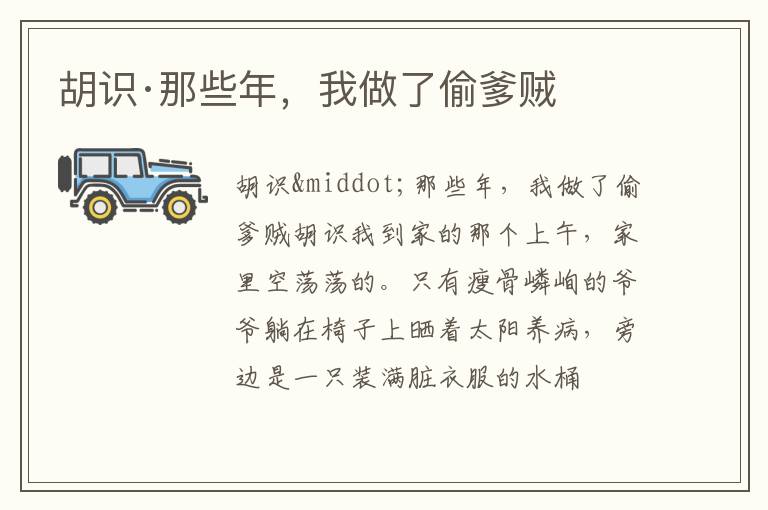  胡识·那些年，我做了偷爹贼