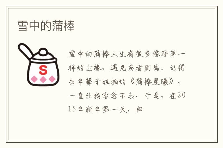  雪中的蒲棒