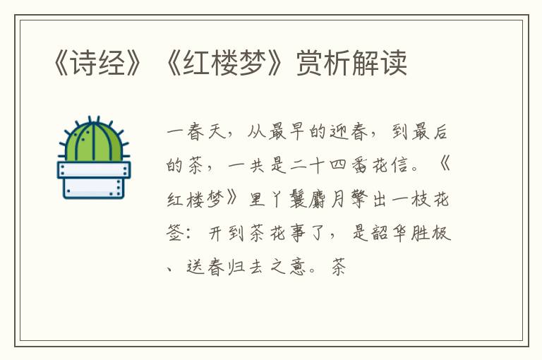  《诗经》《红楼梦》赏析解读