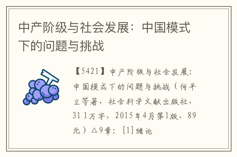  中产阶级与社会发展：中国模式下的问题与挑战