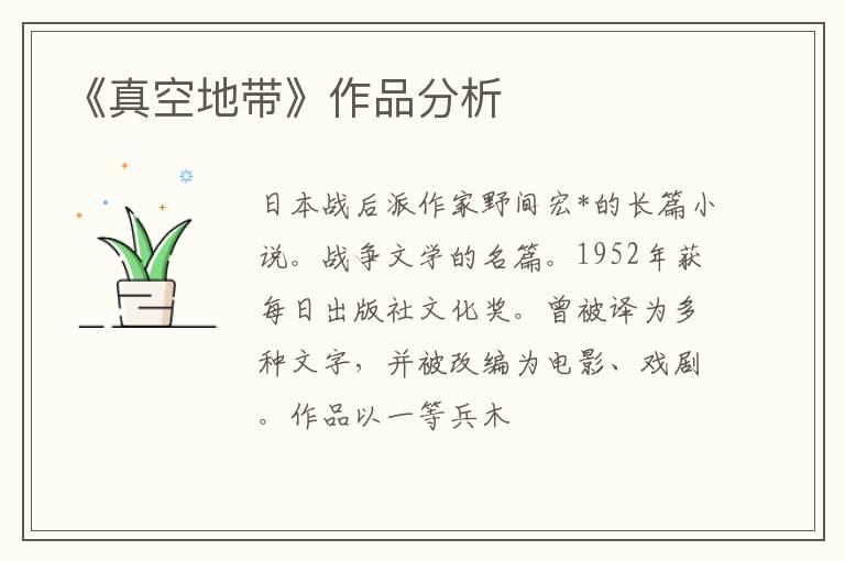  《真空地带》作品分析