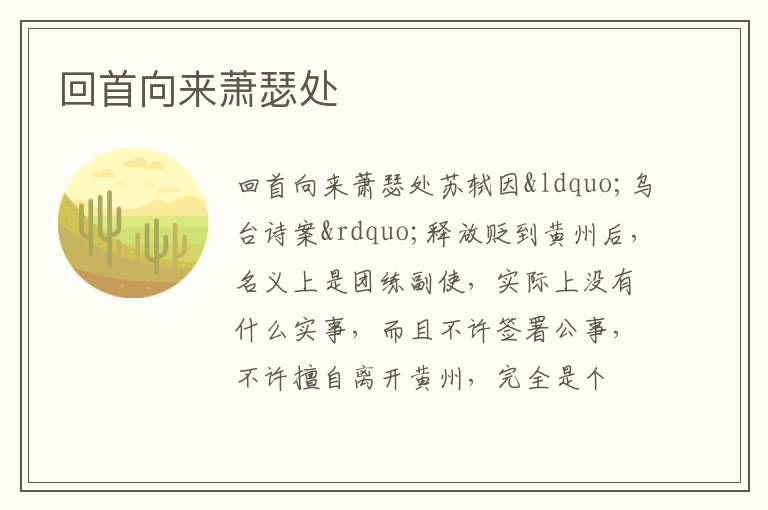  回首向来萧瑟处