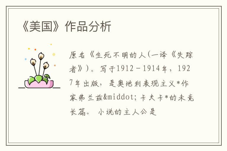  《美国》作品分析
