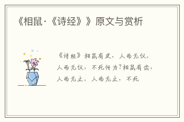 《相鼠·《诗经》》原文与赏析